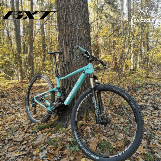 BXT Terra 29er Carbon Fiber XC MTB Frame - ZACycle (PTY) LTD