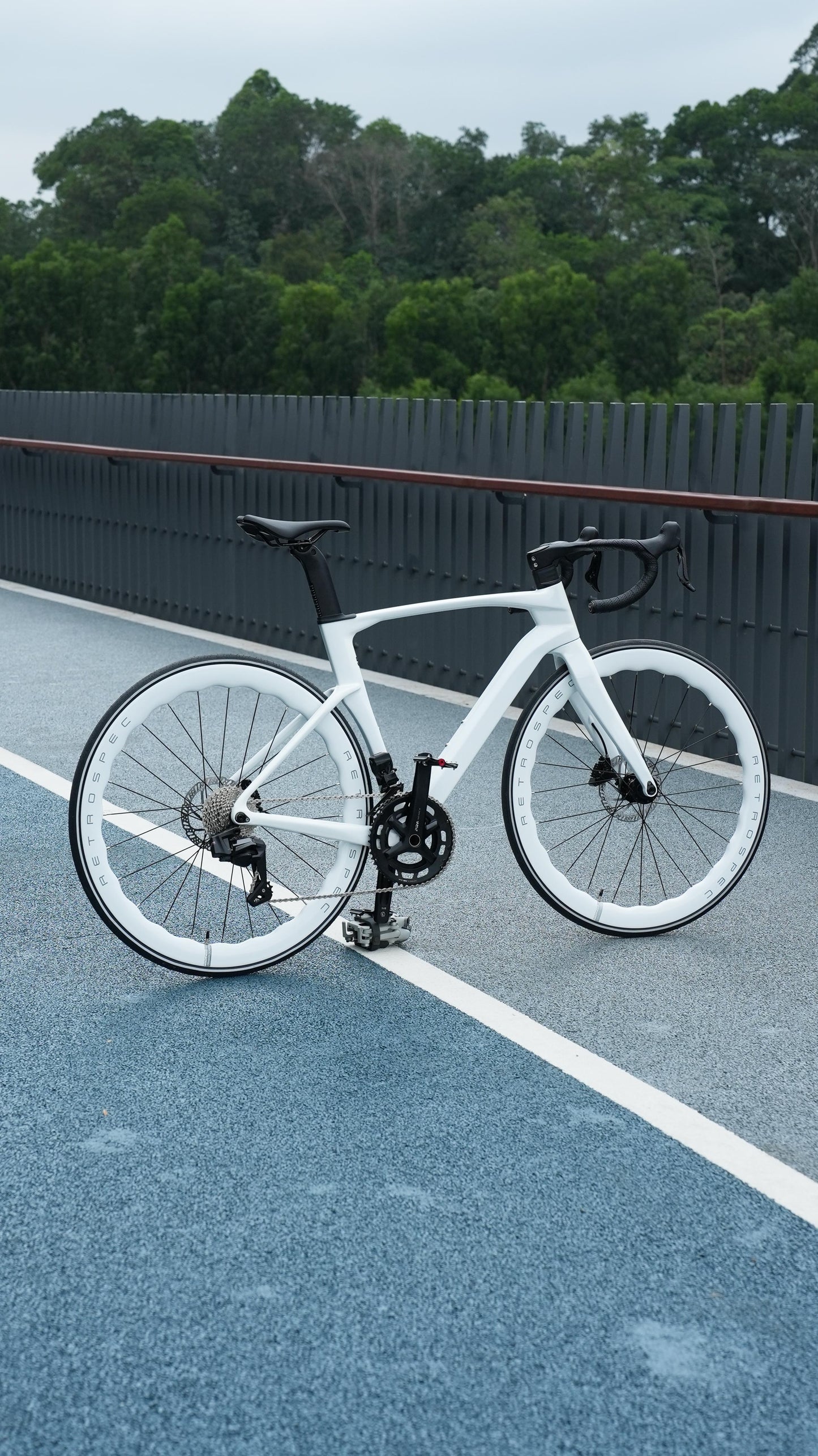 Twitter R6 Carbon Road Bike with Electronic Shifting